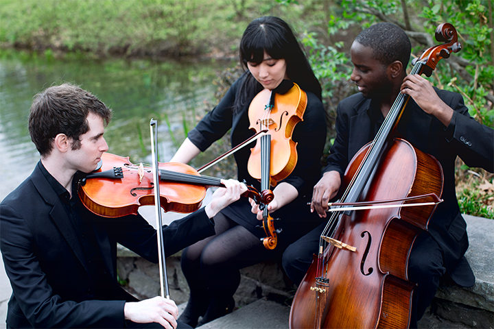 Violin, viola, cello trio